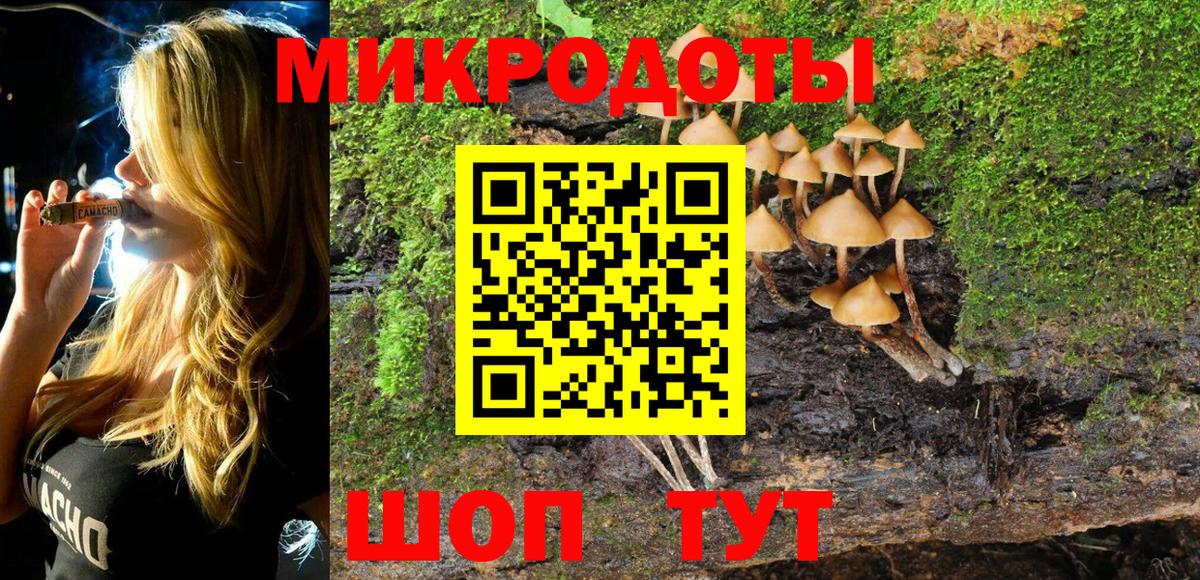 Кисловодск  Галлюциногенные грибы Cubensis  Вход с VPN 